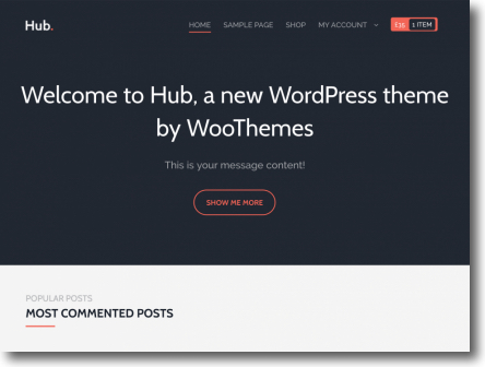 WOO HUB